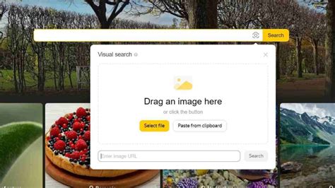 image search yandex|yandex visual search.